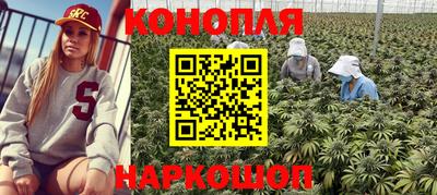тгк Канаш
