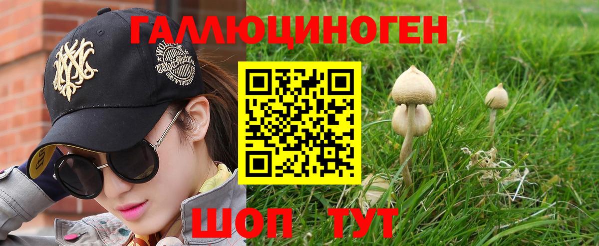 Галлюциногенные грибы Psilocybe Кудымкар