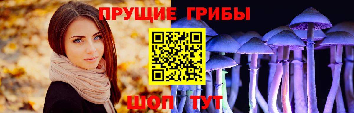 Кудымкар  Галлюциногенные грибы Cubensis  Псилоцибиновые грибы Psilocybe  Вход с VPN 